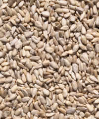 Sunflower hearts